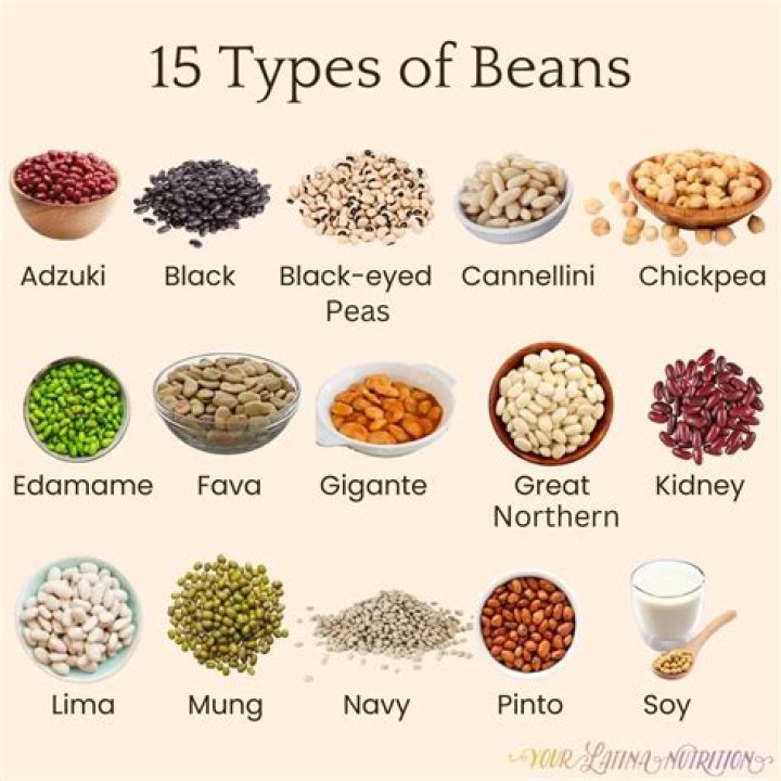 15 Different Types of Beans with Pictures Types of beans, Beans, Bean