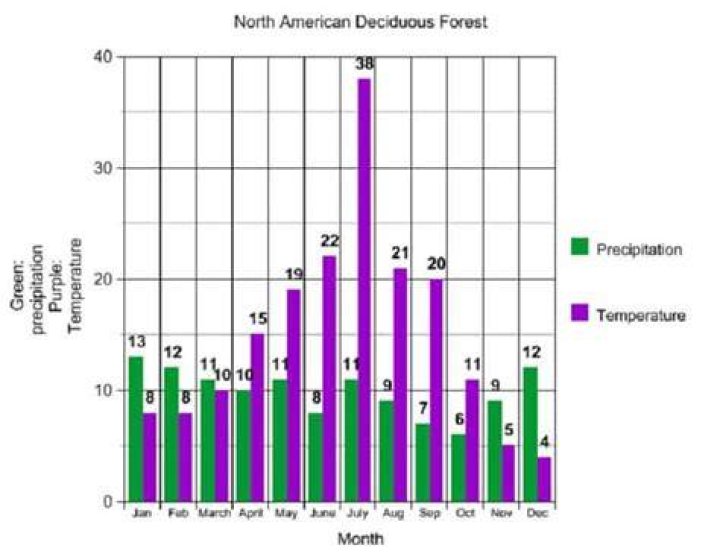 ️ Average precipitation in deciduous forest. FOSS Weather Climate