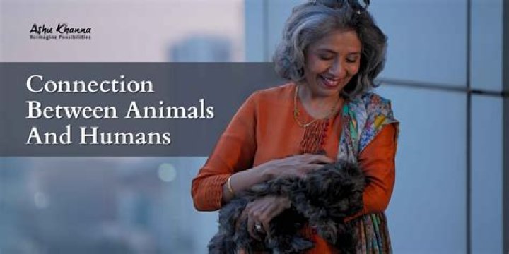⚡ Connection between humans and animals. The Historical Connection