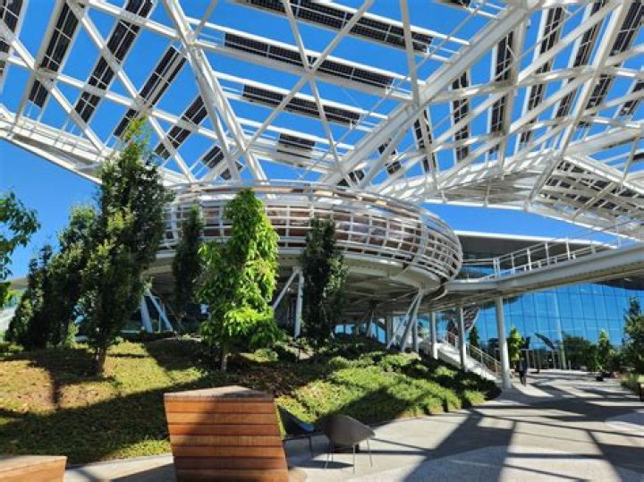 A Close Look At Their Lives And Careers