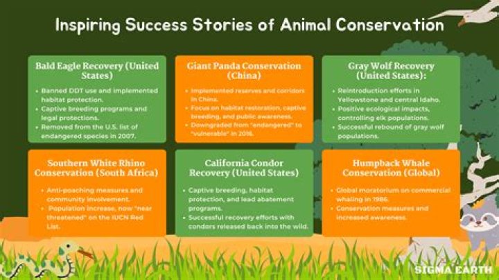 A Journey Of Conservation And Financial Success
