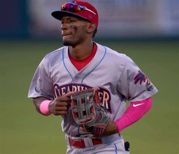 Are Johan Rojas And Cookie Rojas Related? Relation, Family And Net