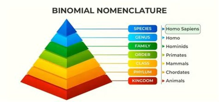 Binomial Nomenclature Rules of Binomial Nomenclature