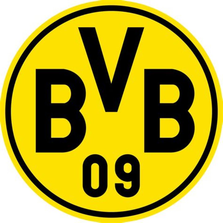 Borussia Dortmund 'eyeing a swoop for Jude Bellingham's 16yearold