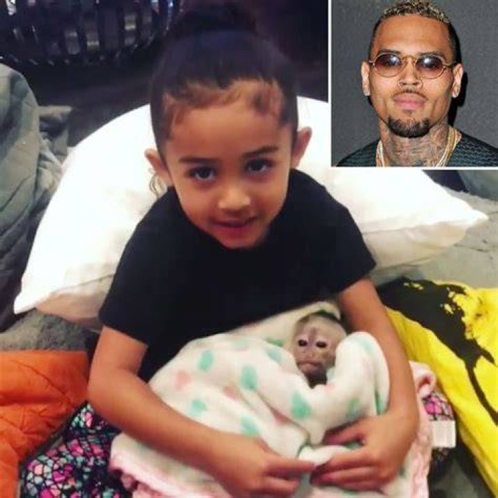 Chris Brown&rsquo;s pet monkey could land him in trouble Press Enterprise