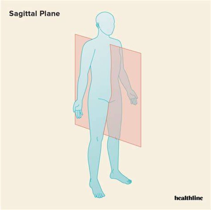 Comparing Midsagittal And Sagittal Planes: A Comprehensive Guide