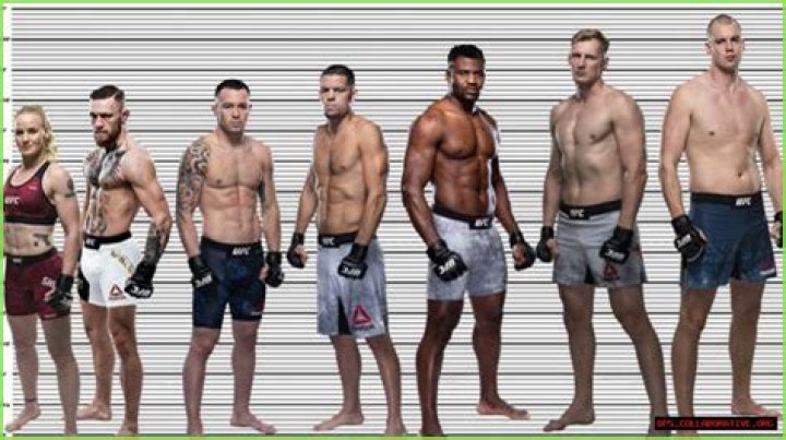 Conor Mcgregor Height And Weight AdviceAnalysis