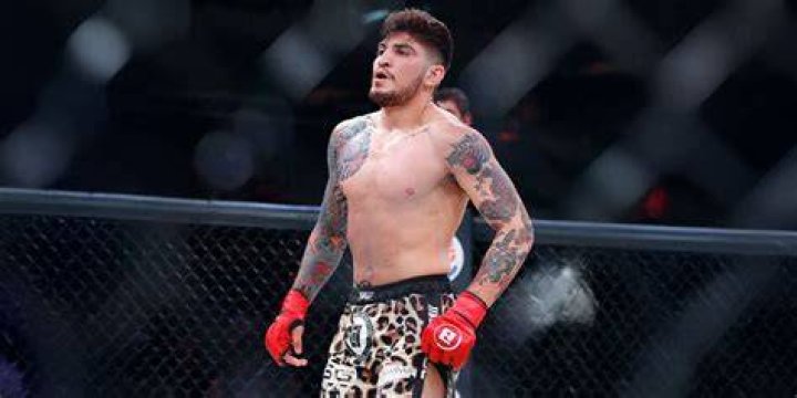 Dillon Danis Multiple Times World MMA Champion