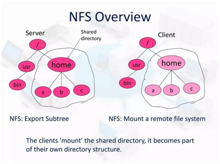 Discover The Definition Of Network File System (NFS)