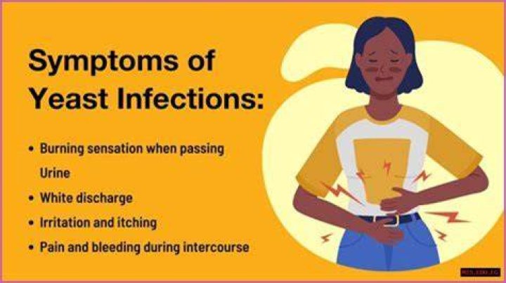 Do Bidets Help Fight Yeast Infections? Discover The Truth