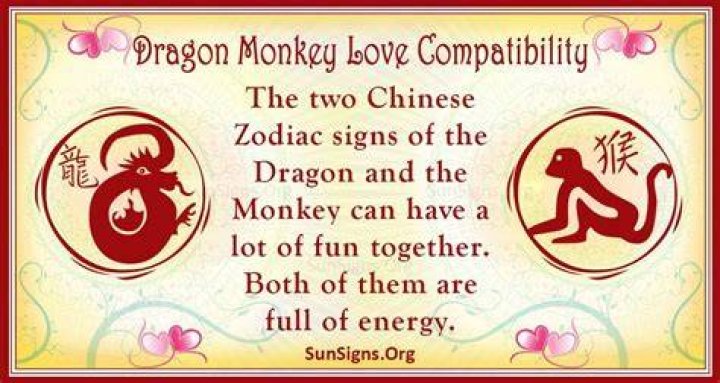 Dragon And Monkey Compatibility Passionate And Loving