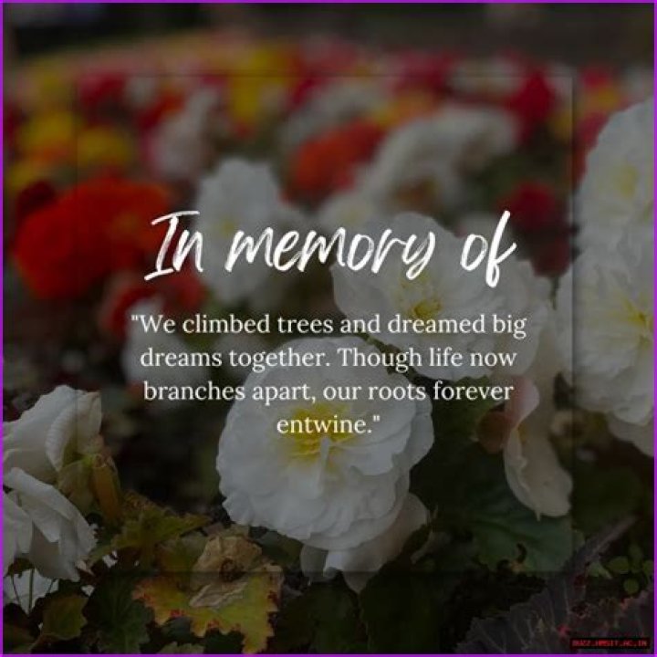 Dylan Rusch Obituary: Remembering A Beloved Oxnard Native
