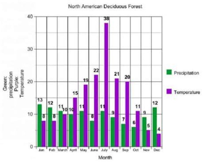 Estimating Average Precipitation In Temperate Deciduous Forests