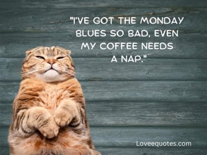 Funny Monday Quote