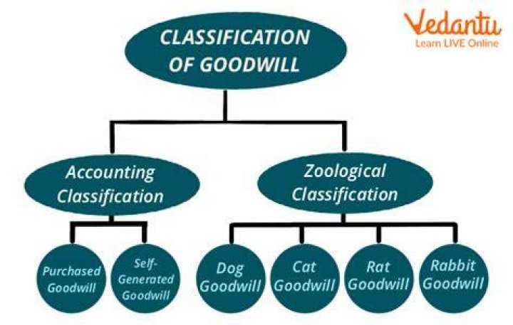 Goodwill Overview, Examples, How Goodwill is Calculated