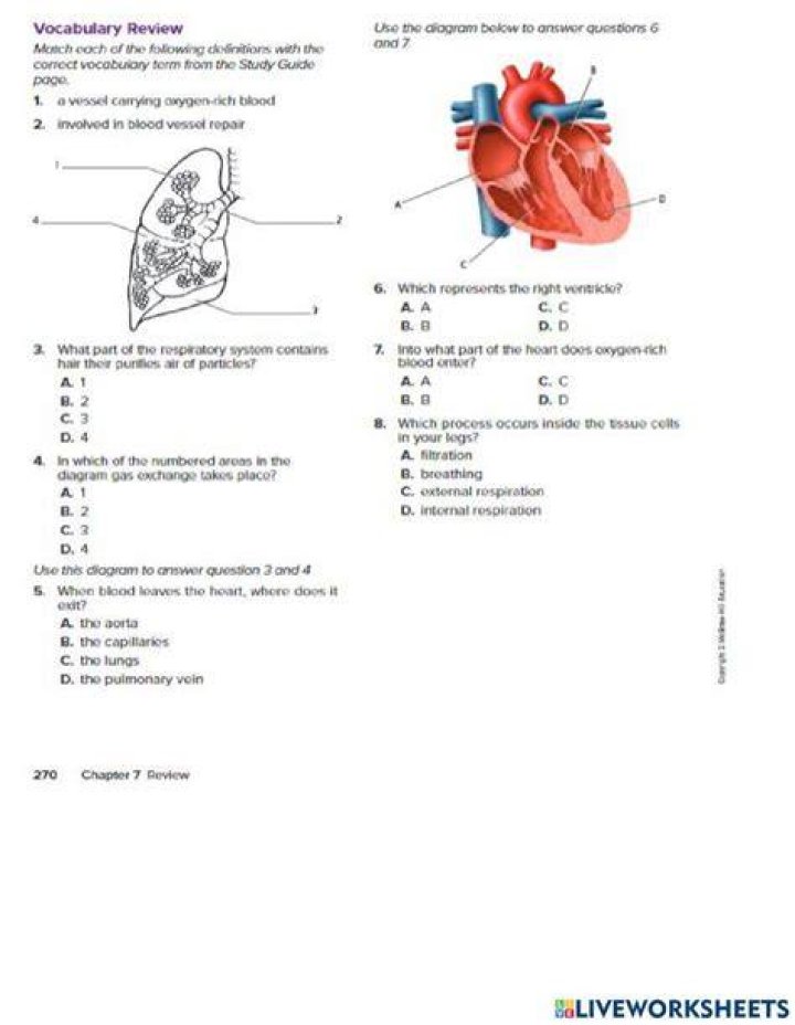 Grade 8 Chapter 7