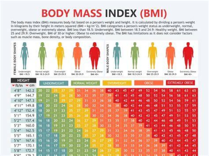 Height, Weight, And Body Stats