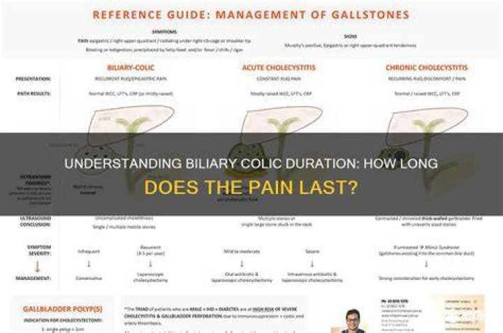 How Long Does Colic Last? Colic SOS Facts on Colic