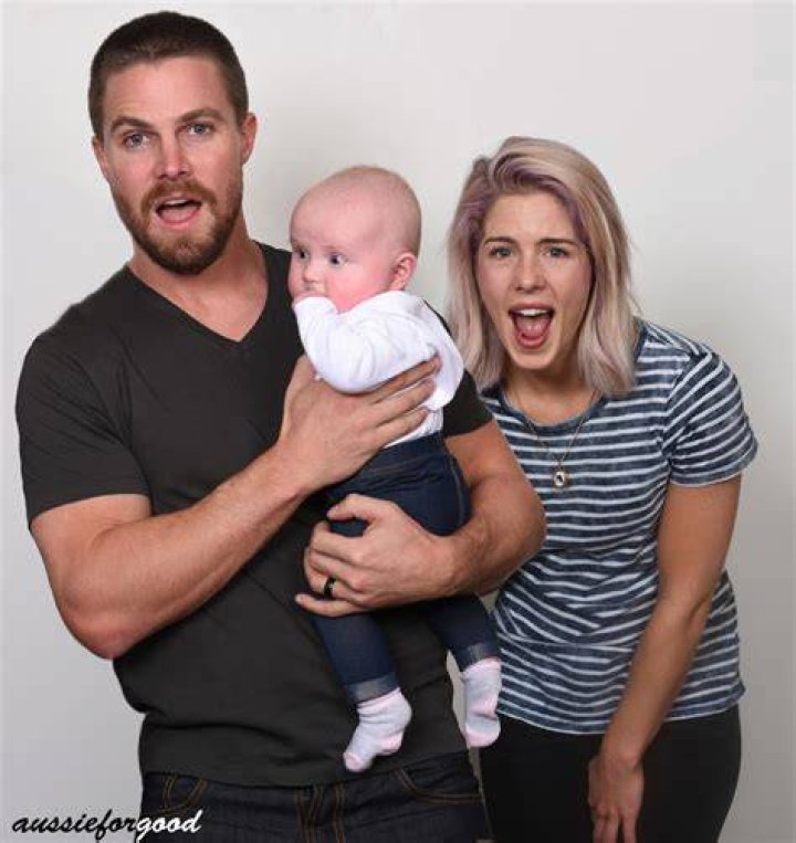 Is Stephen Amell Hitched?