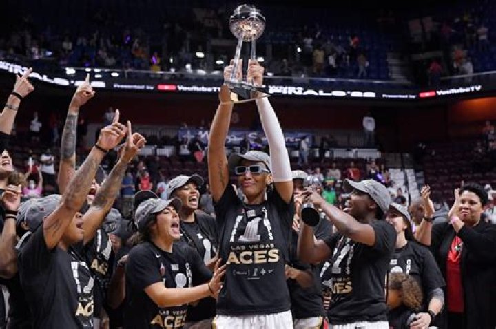 Las Vegas Aces' Chelsea Gray and Her Wife Are Expecting