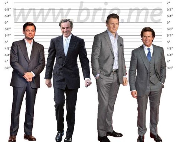 Liam Neeson Height Brie