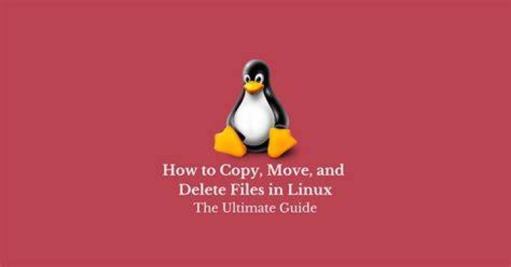 [Linux basic] Copy, delete, and move commands for Linux files