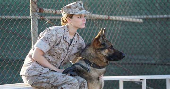 Megan Leavey (2017)