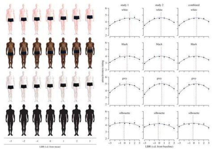 Men with Slightly Longer Legs Are More Attractive to Women American