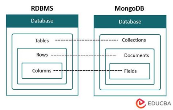 Mongodb Database