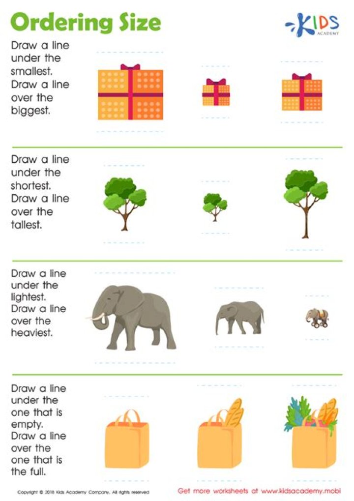 Order By Size Worksheet