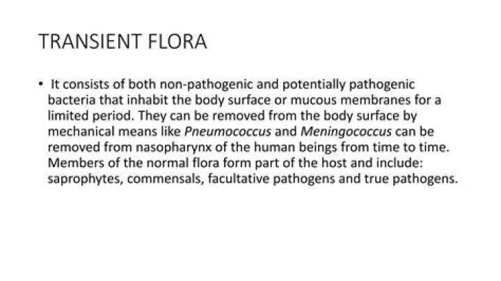 PPT Normal and Transient Flora; Host/Parasite Relationships