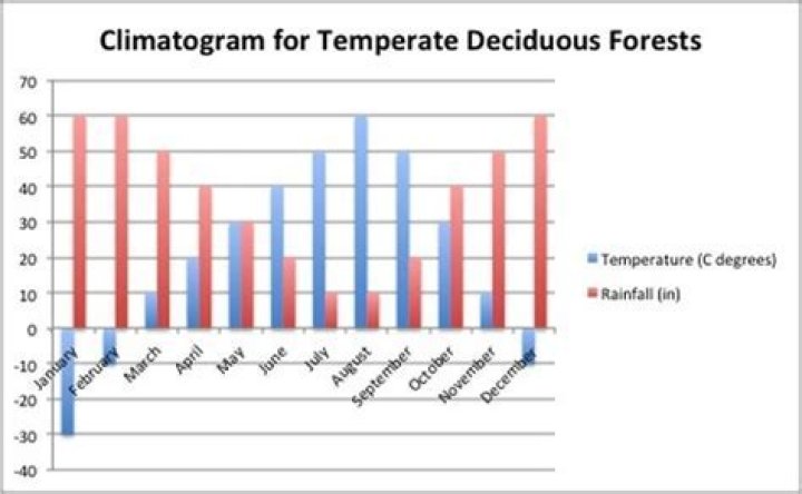 Temperature Deciduous Forest