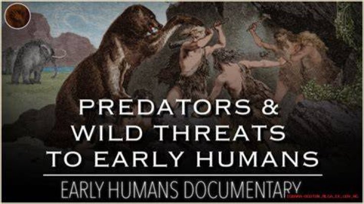 Terrifying Predators: Animals That Target Humans
