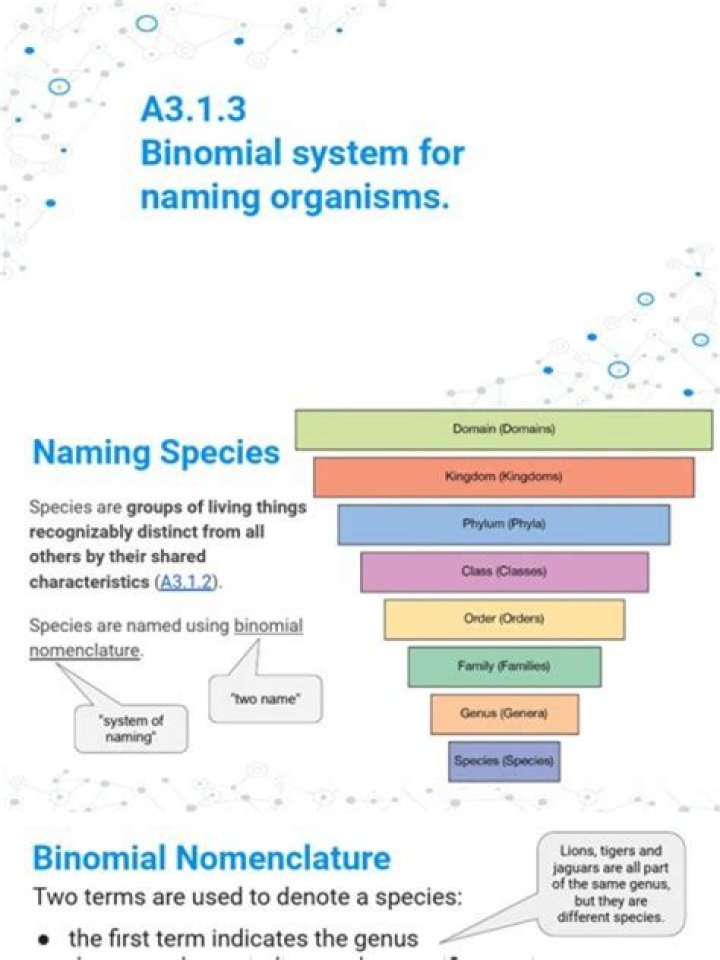 The Complete Guide To Understanding And Using The Binomial System