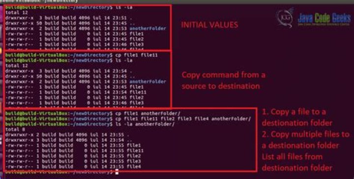The Linux cp Command How to Copy Files in Linux
