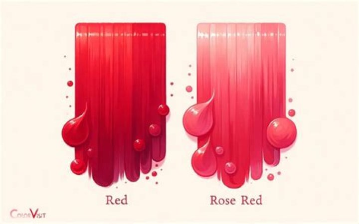 The Real Difference Between Red And Green Cabbage