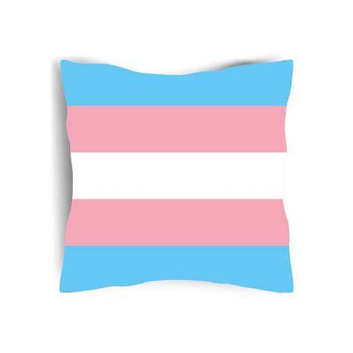 Transgender Pride cushion Flags and Flagpoles