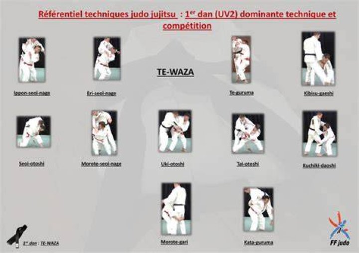 Ultimate Guide To Master Te Waza Techniques