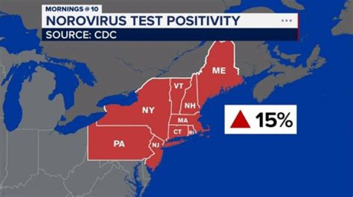 Understanding The Current Stomach Virus Outbreak Map