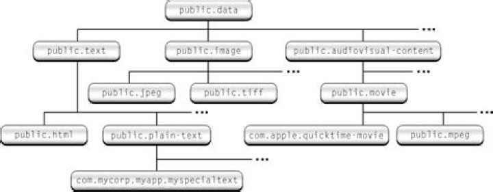 Uniform Type Identifier