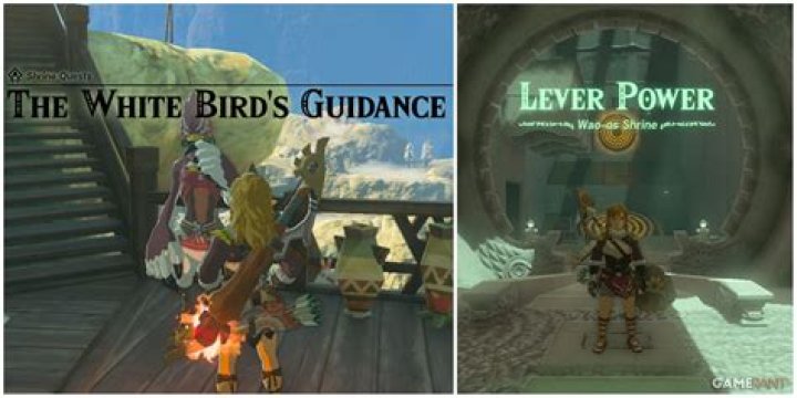 Unraveling The Secrets Of Multiple Phoenixes