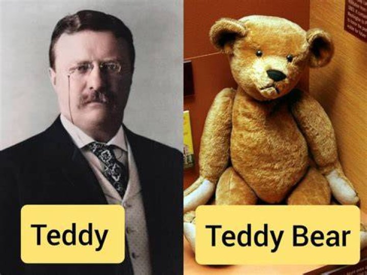 Why Are Teddy Bears Called Teddy ? (Mickey Wonders Why), Hobbies & Toys