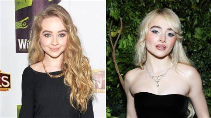 Why Did Sabrina Carpenter's Birthday Cake Have Leonardo DiCaprio's Face