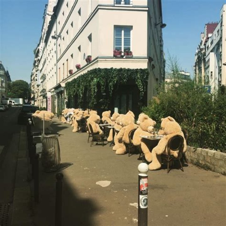 Why Teddy Bears Are Invading Paris in 2021 Teddy bear, Teddy, Massive
