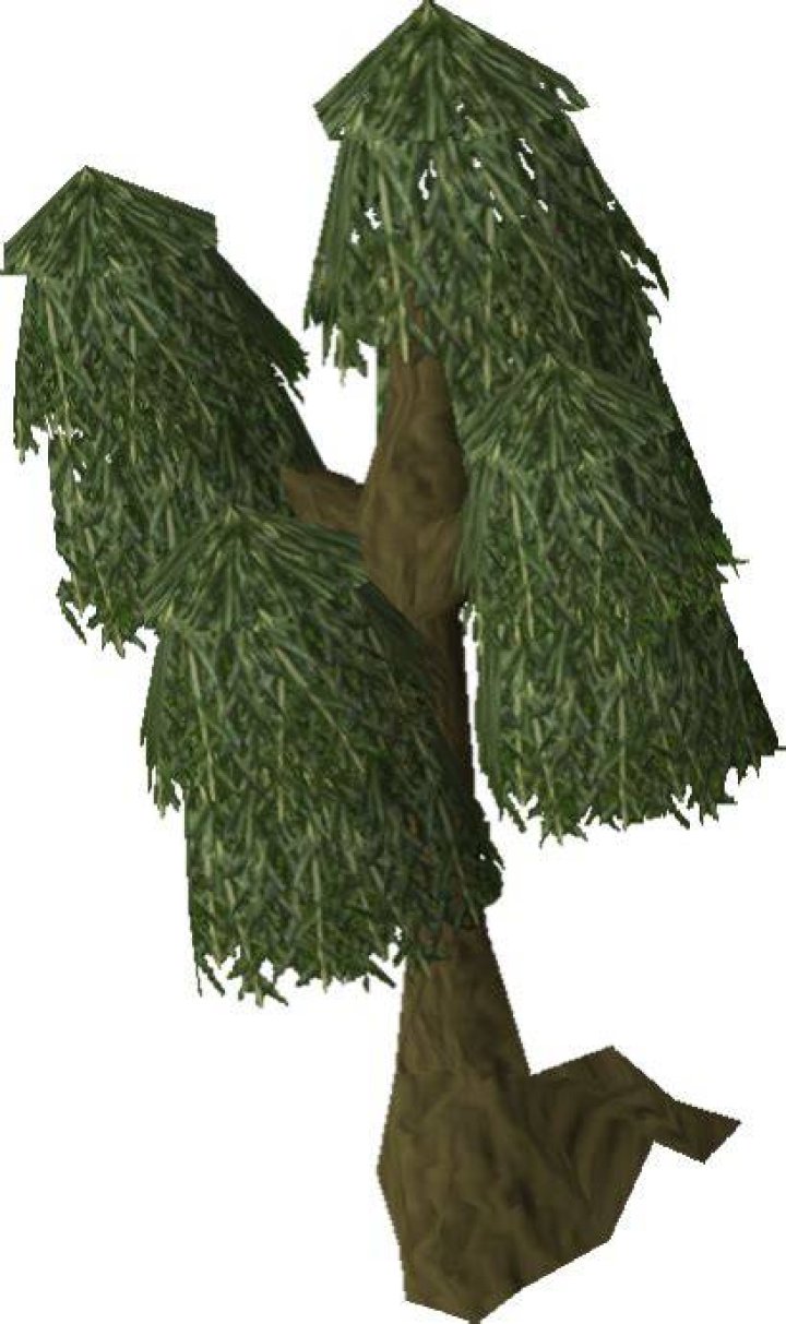 Willow RuneScape Wiki Fandom powered by Wikia