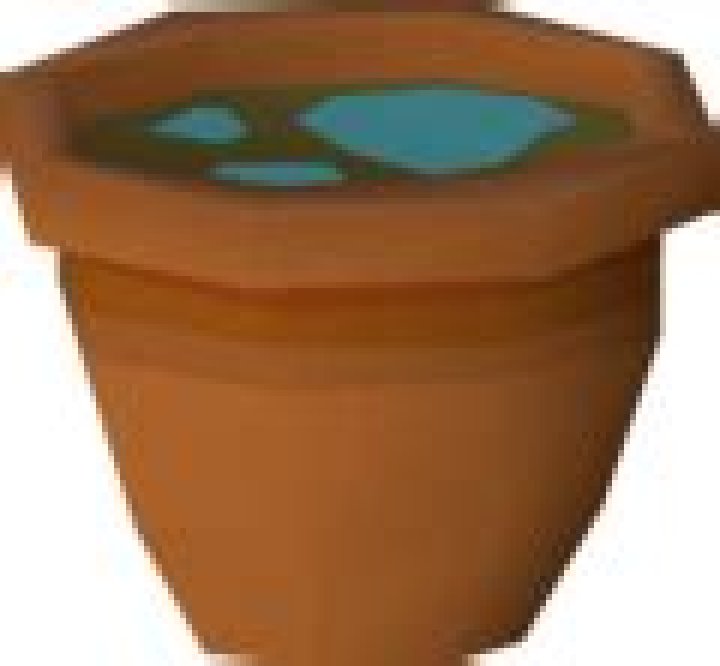 Willow seedling OSRS Wiki