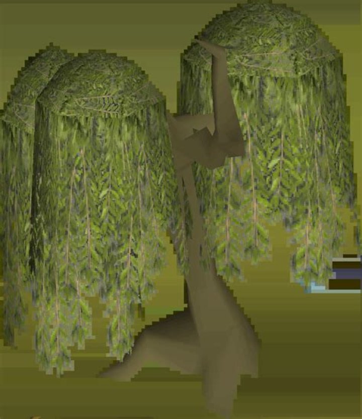 Willow tree Old School RuneScape Wiki FANDOM powered by Wikia